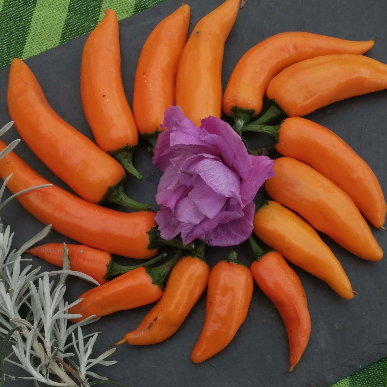 Pepper Large Orange Thai A
