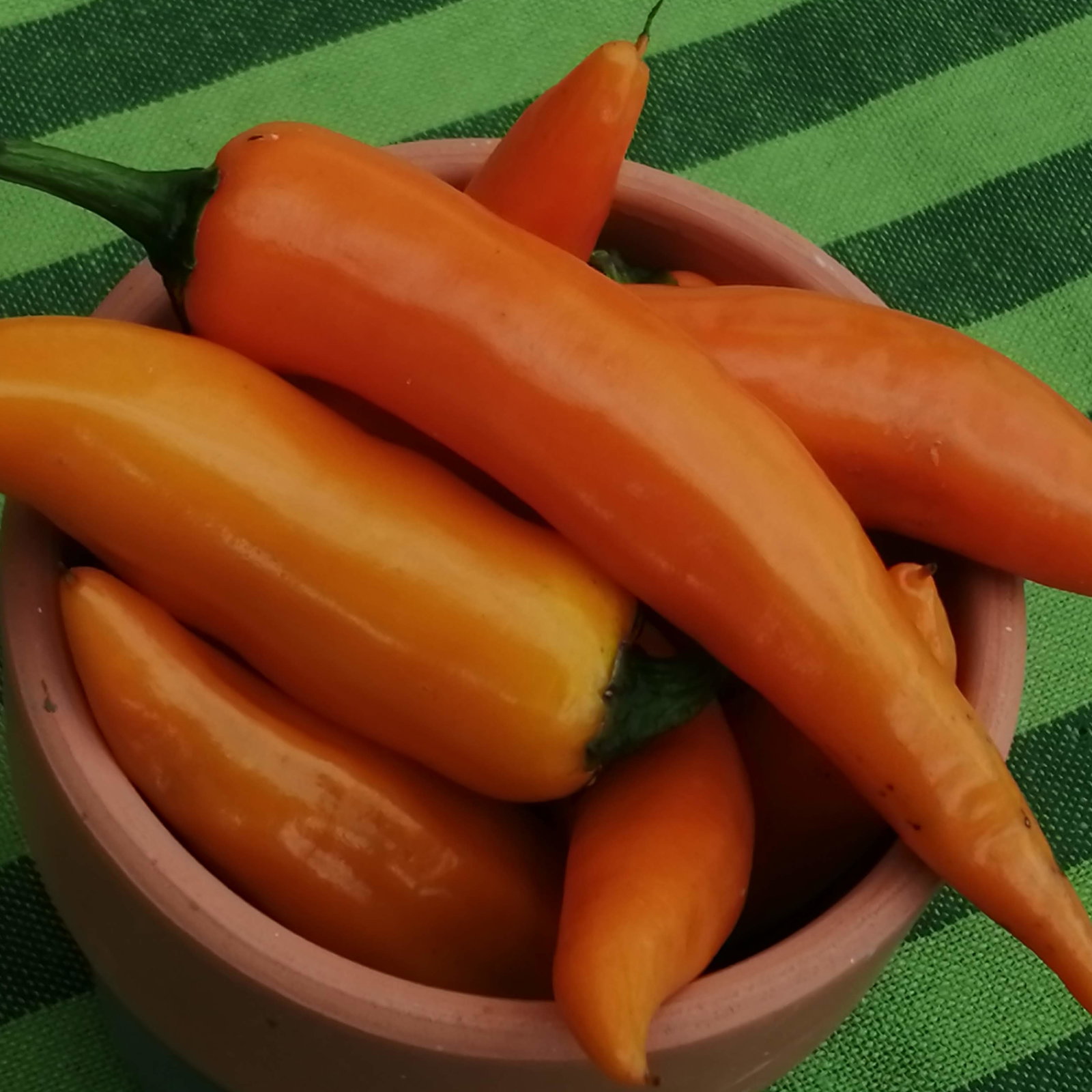 Pepper Large Orange Thai