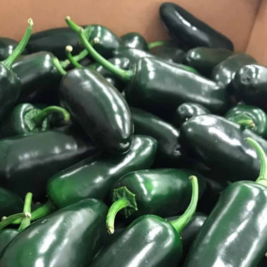 Pepper Jalapeno Black Bullet