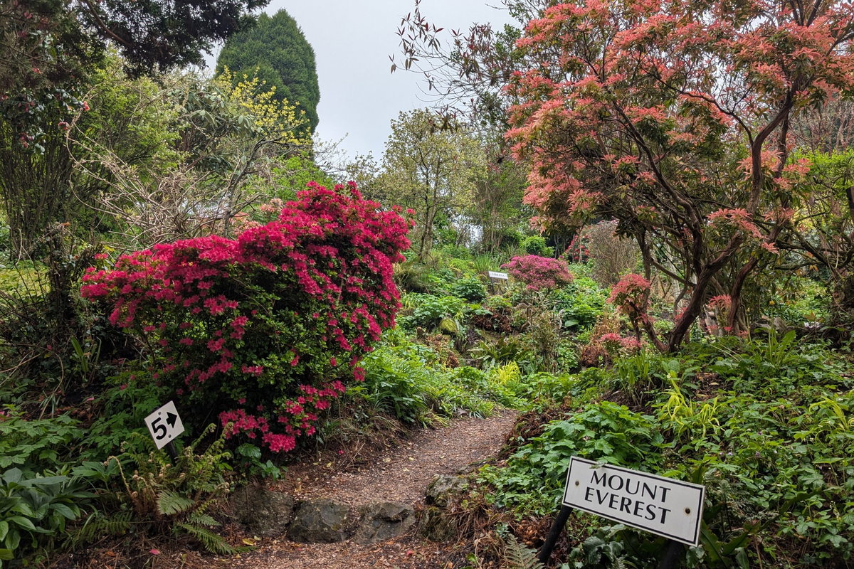 Mount Everest in Plant World Gardens