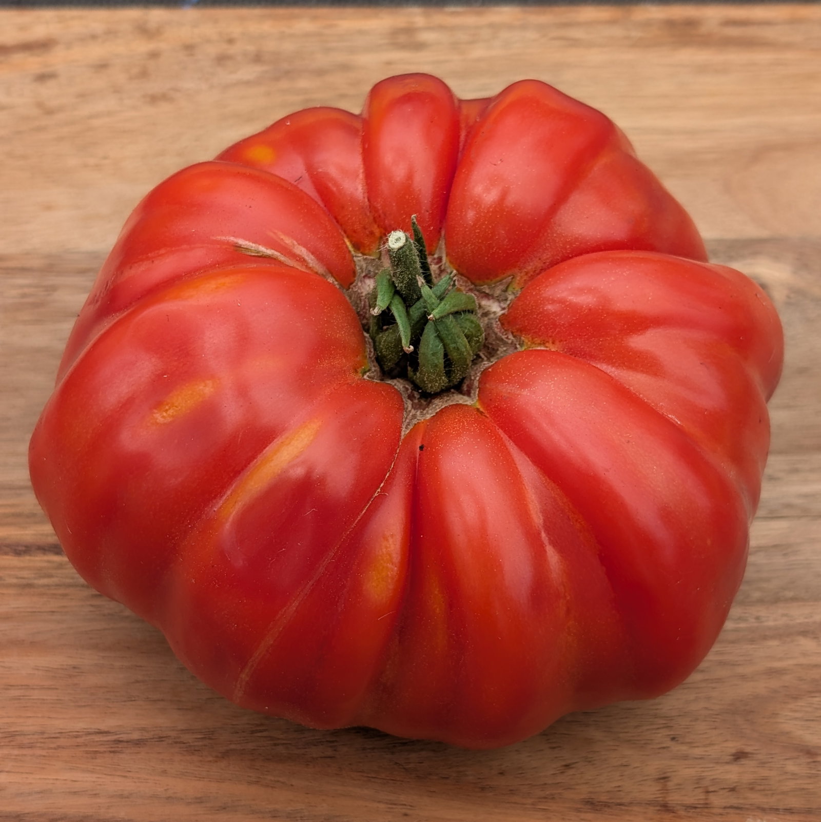Tomato Beef Master