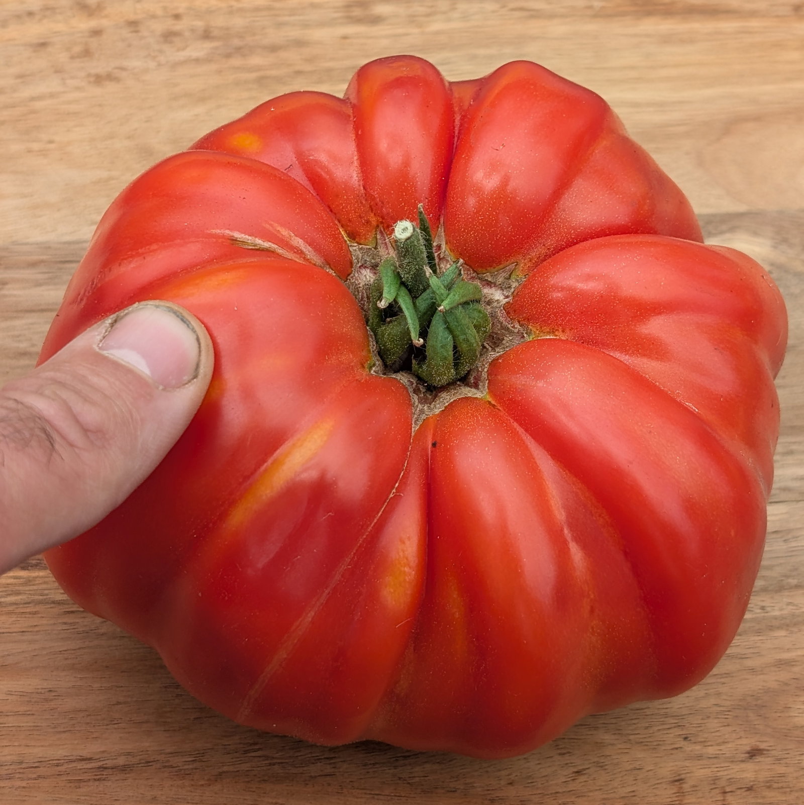 Tomato Beef Master