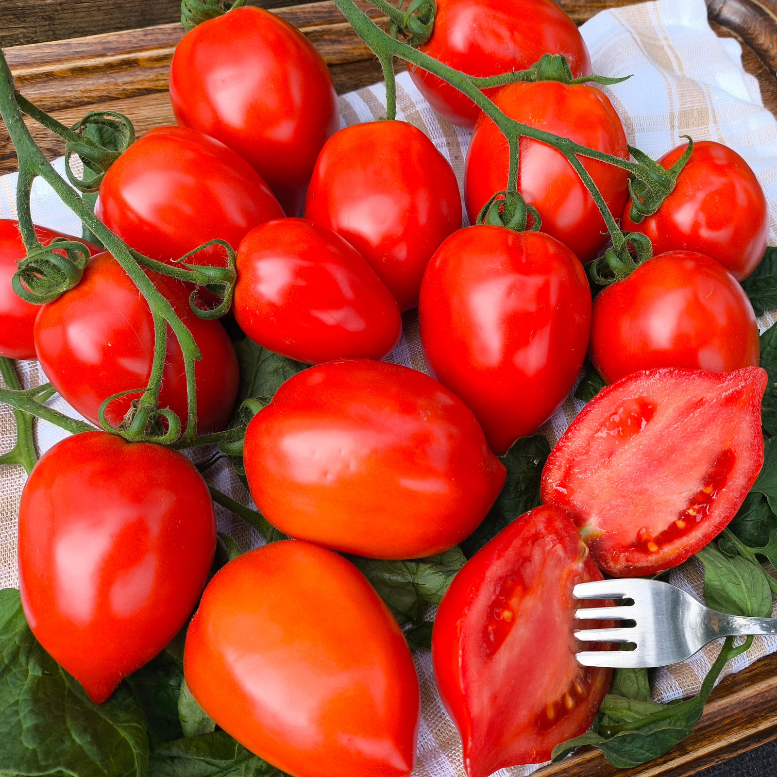Tomato Big Mama