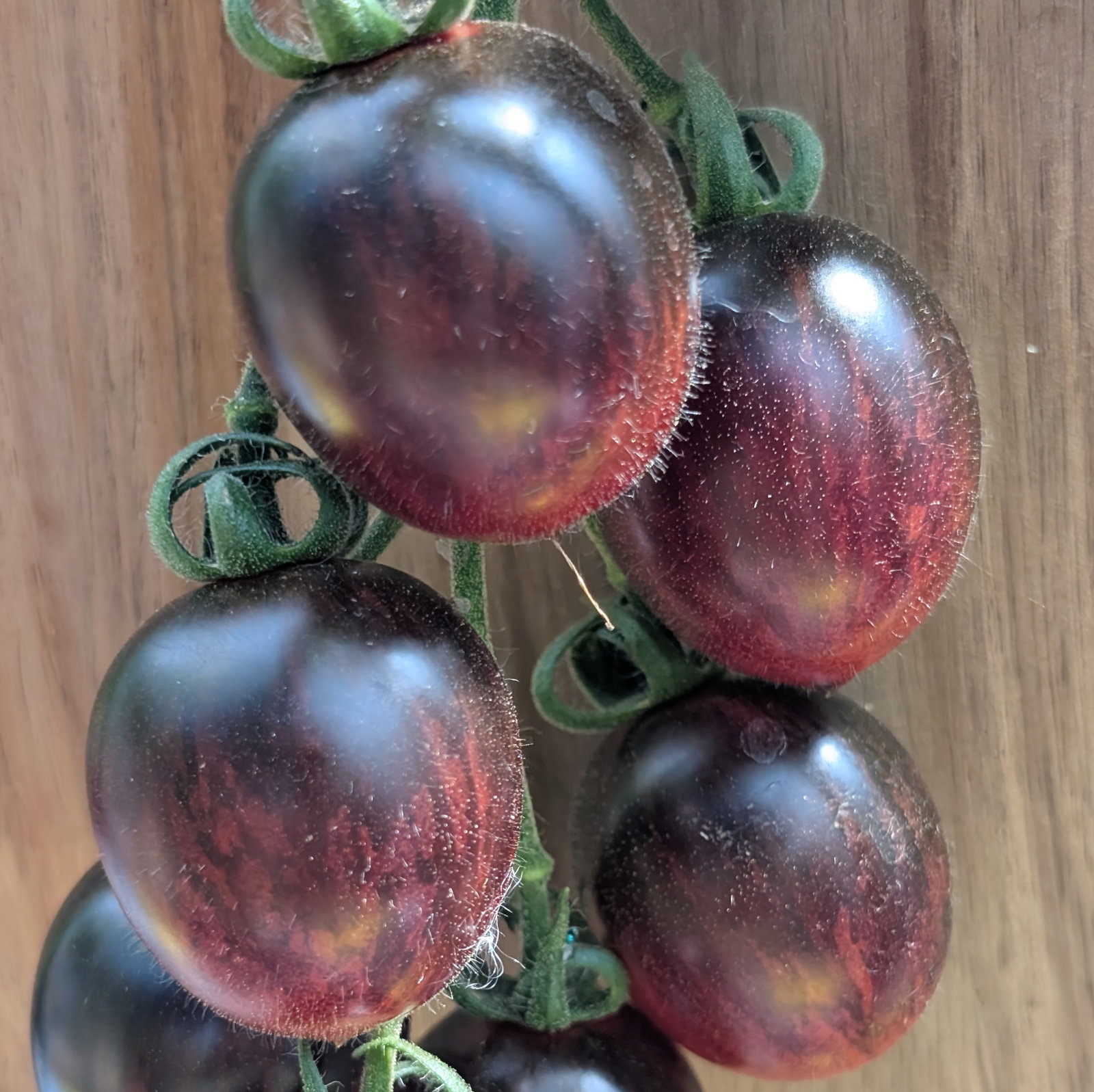 Tomato Black Moon
