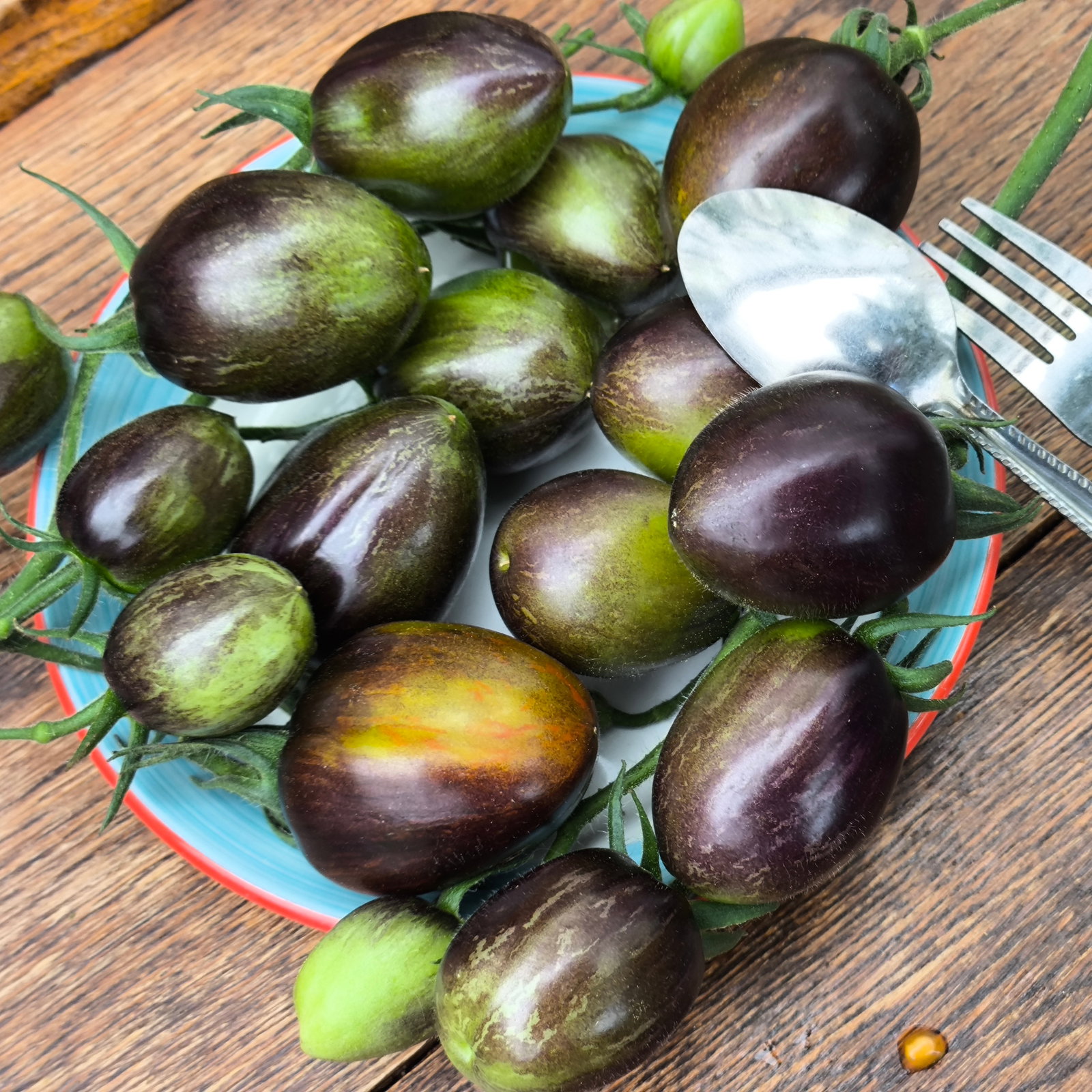 Tomato Brad's Atomic Grape