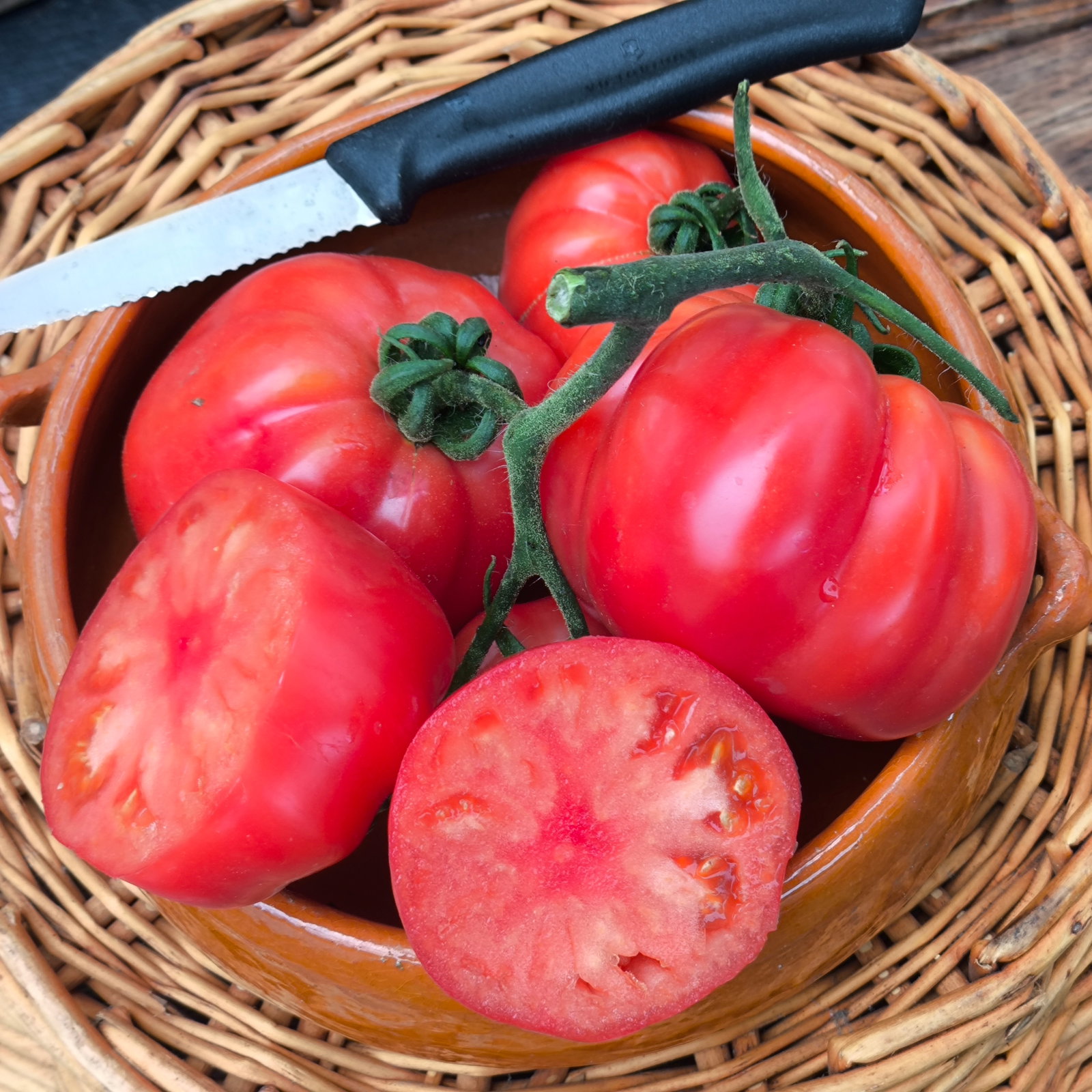 Tomato Cuor Di Bue