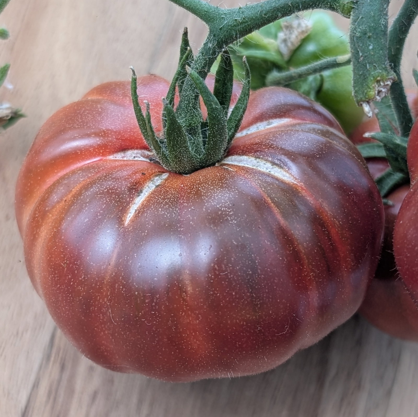 Tomato Purple Calabash