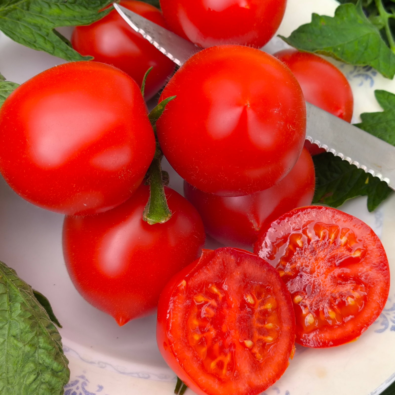 Tomato Ruthje