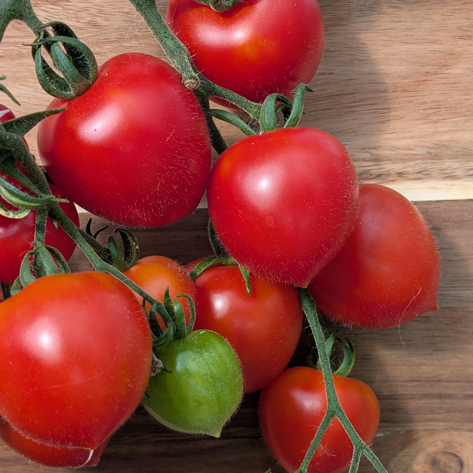 Tomato Ruthje