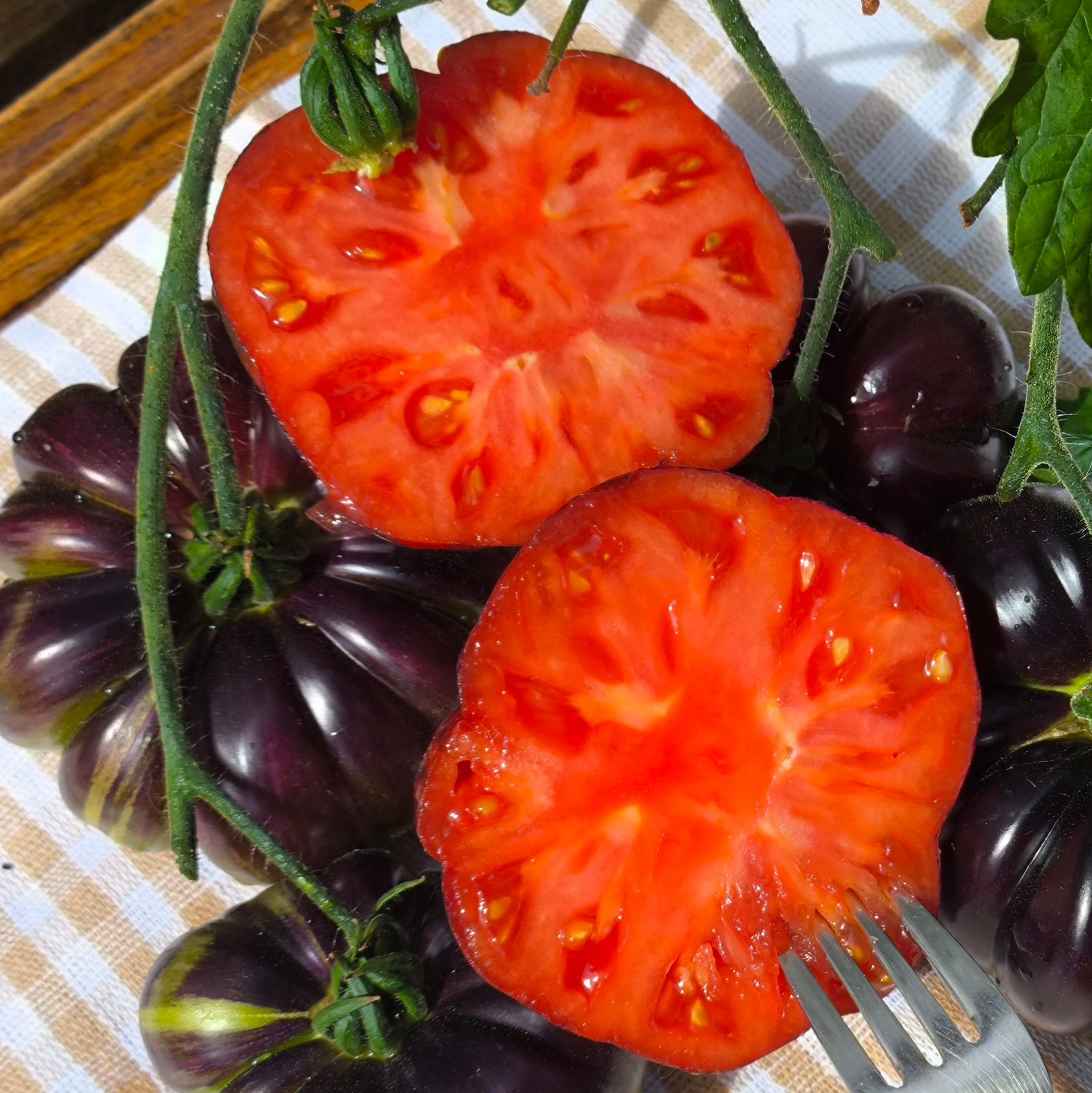 Tomato Sun Fired Flare