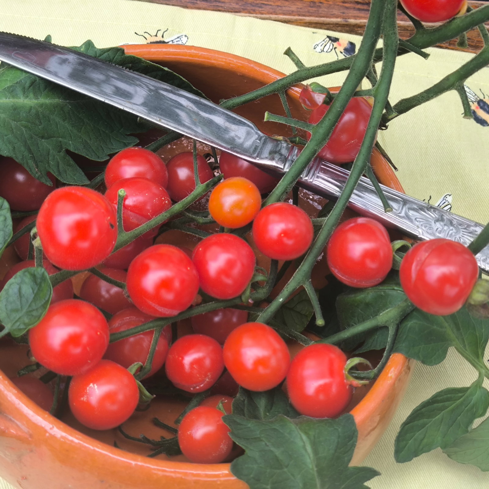 Tomato Sweet Aperitif