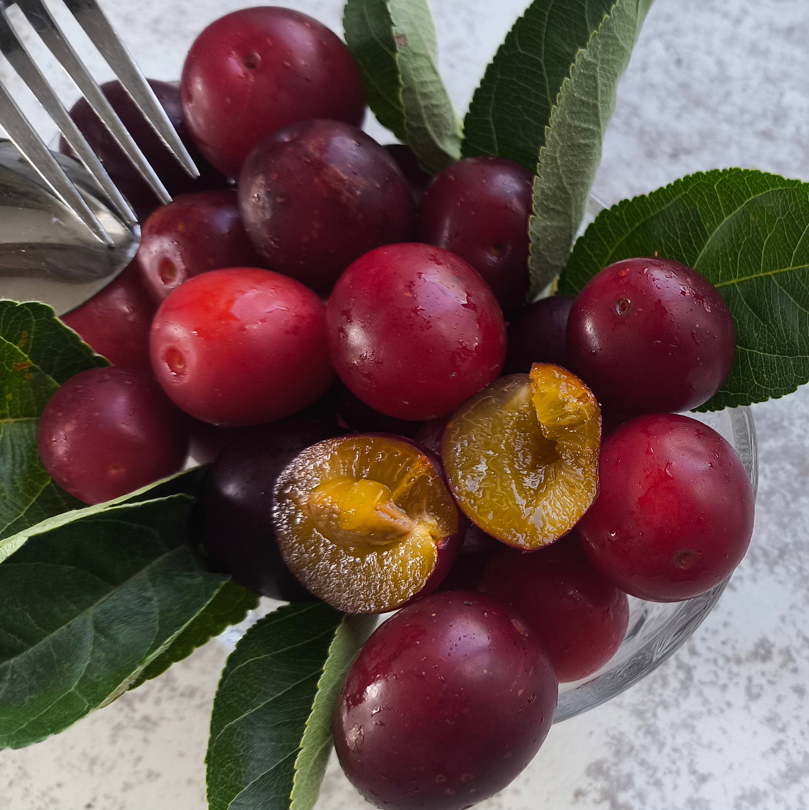Plum Mirabelle